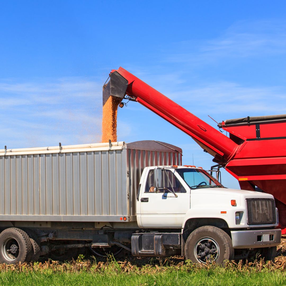 truck being loading with material