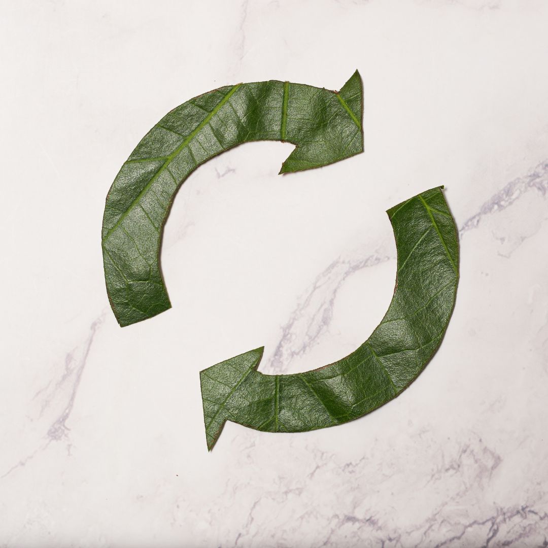 Circular Economy
