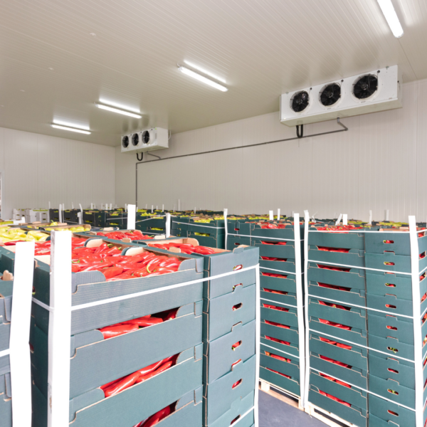 Cold food shipping container