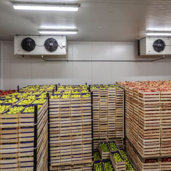 cold storage container interior